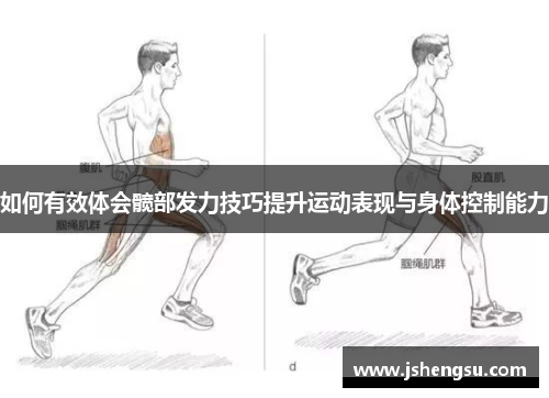 如何有效体会髋部发力技巧提升运动表现与身体控制能力